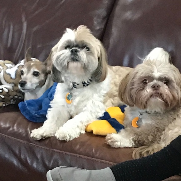 Meet your Posher, Renee - Picture 1 of 2